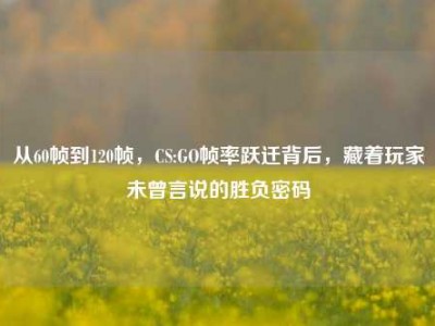 从60帧到120帧，CS:GO帧率跃迁背后，藏着玩家未曾言说的胜负密码