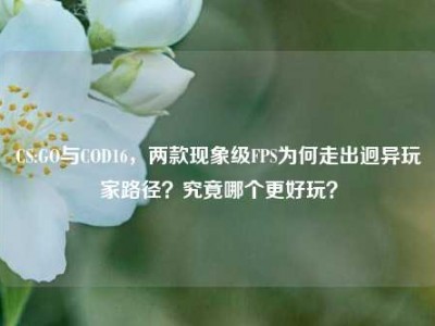 CS:GO与COD16，两款现象级FPS为何走出迥异玩家路径？究竟哪个更好玩？