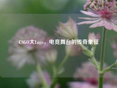 CSGO大Logo，电竞舞台的传奇象征