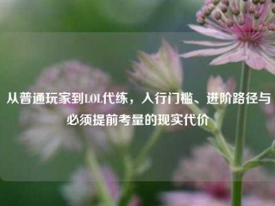 从普通玩家到LOL代练，入行门槛、进阶路径与必须提前考量的现实代价