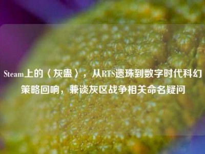 Steam上的〈灰蛊〉，从RTS遗珠到数字时代科幻策略回响，兼谈灰区战争相关命名疑问