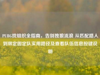 PUBG找组织全指南，告别独狼流浪 从匹配路人到绑定固定队实用路径及查看队伍信息按键说明