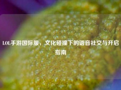 LOL手游国际服，文化碰撞下的语音社交与开启指南