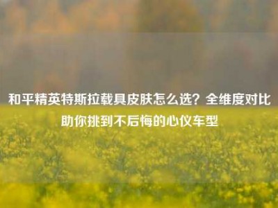 和平精英特斯拉载具皮肤怎么选？全维度对比助你挑到不后悔的心仪车型