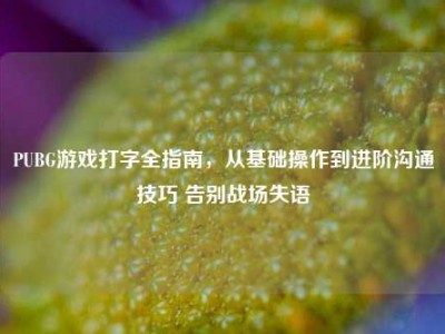 PUBG游戏打字全指南，从基础操作到进阶沟通技巧 告别战场失语