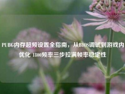 PUBG内存超频设置全指南，从BIOS调试到游戏内优化 1800频率三步拉满帧率稳定性
