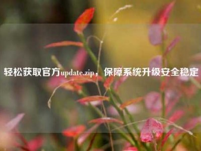 轻松获取官方update.zip，保障系统升级安全稳定