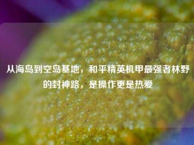 从海岛到空岛基地，和平精英机甲最强者林野的封神路，是操作更是热爱