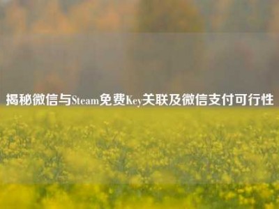 揭秘微信与Steam免费Key关联及微信支付可行性
