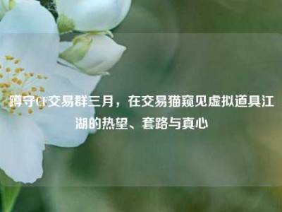 蹲守CF交易群三月，在交易猫窥见虚拟道具江湖的热望、套路与真心