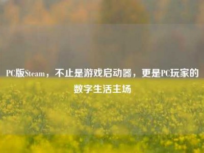PC版Steam，不止是游戏启动器，更是PC玩家的数字生活主场