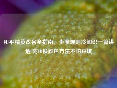 和平精英改名全指南，步骤规则冷知识一篇讲透 附ID换颜色方法不怕踩坑