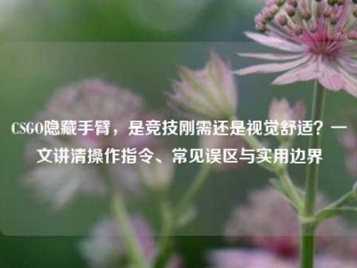 CSGO隐藏手臂，是竞技刚需还是视觉舒适？一文讲清操作指令、常见误区与实用边界