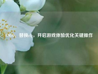 CSGO，替换cfg，开启游戏体验优化关键操作