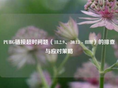 PUBG链接超时问题（18.2.9、30.13 - ffffff）的排查与应对策略