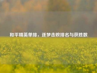 和平精英单排，逐梦击败排名与获胜数
