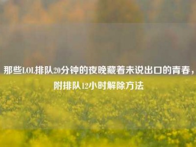 那些LOL排队20分钟的夜晚藏着未说出口的青春，附排队12小时解除方法