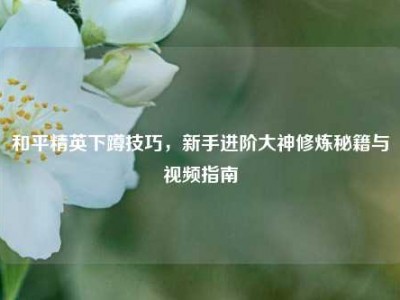 和平精英下蹲技巧，新手进阶大神修炼秘籍与视频指南
