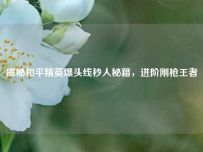 揭秘和平精英爆头线秒人秘籍，进阶刚枪王者