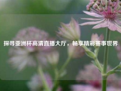 探寻亚洲杯高清直播大厅，畅享精彩赛事世界