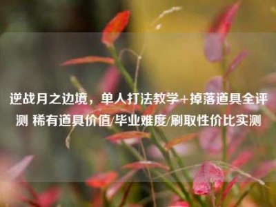 逆战月之边境，单人打法教学+掉落道具全评测 稀有道具价值/毕业难度/刷取性价比实测