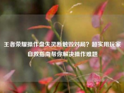 王者荣耀操作盘失灵断触毁对局？超实用玩家自救指南帮你解决操作难题