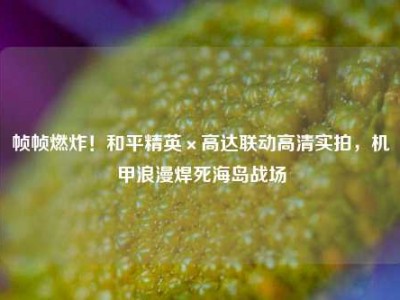 帧帧燃炸！和平精英×高达联动高清实拍，机甲浪漫焊死海岛战场