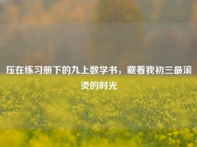 压在练习册下的九上数学书，藏着我初三最滚烫的时光