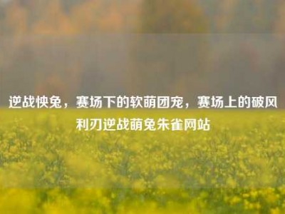 逆战怏兔，赛场下的软萌团宠，赛场上的破风利刃逆战萌兔朱雀网站