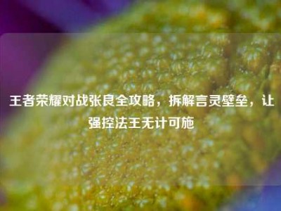 王者荣耀对战张良全攻略，拆解言灵壁垒，让强控法王无计可施