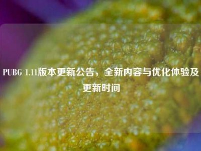 PUBG 1.11版本更新公告，全新内容与优化体验及更新时间