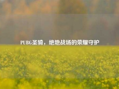 PUBG圣骑，绝地战场的荣耀守护