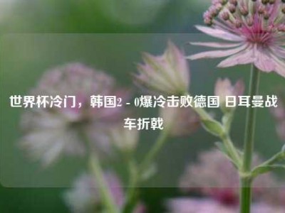 世界杯冷门，韩国2 - 0爆冷击败德国 日耳曼战车折戟