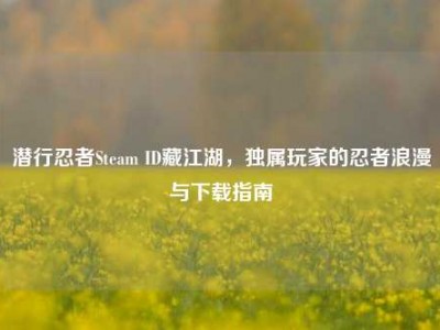 潜行忍者Steam ID藏江湖，独属玩家的忍者浪漫与下载指南