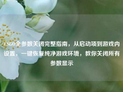 CSGO全参数关闭完整指南，从启动项到游戏内设置，一键恢复纯净游戏环境，教你关闭所有参数显示