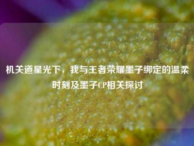 机关道星光下，我与王者荣耀墨子绑定的温柔时刻及墨子CP相关探讨