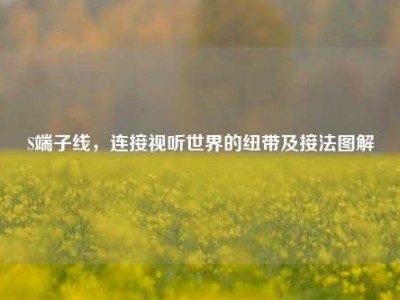 S端子线，连接视听世界的纽带及接法图解