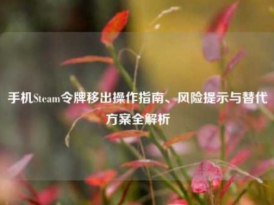 手机Steam令牌移出操作指南、风险提示与替代方案全解析