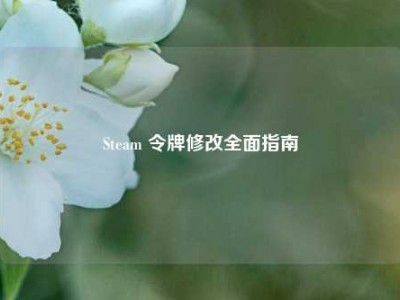Steam 令牌修改全面指南