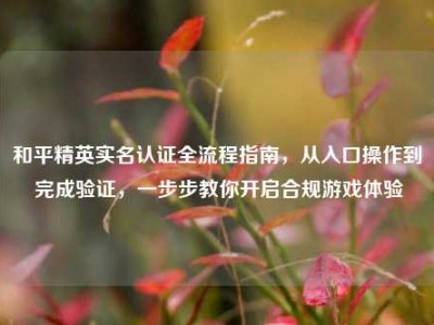和平精英实名认证全流程指南，从入口操作到完成验证，一步步教你开启合规游戏体验