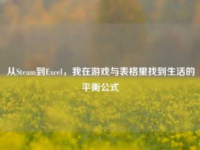 从Steam到Excel，我在游戏与表格里找到生活的平衡公式