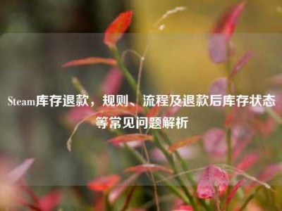 Steam库存退款，规则、流程及退款后库存状态等常见问题解析