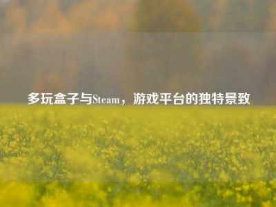 多玩盒子与Steam，游戏平台的独特景致