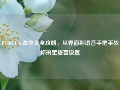 PUBG Lite改中文全攻略，从界面到语音手把手教你搞定语言设置