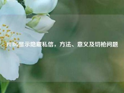 PUBG显示隐藏私信，方法、意义及切枪问题