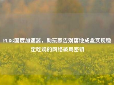 PUBG国度加速器，助玩家告别落地成盒实现稳定吃鸡的网络破局密钥
