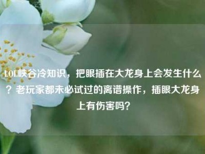 LOL峡谷冷知识，把眼插在大龙身上会发生什么？老玩家都未必试过的离谱操作，插眼大龙身上有伤害吗？
