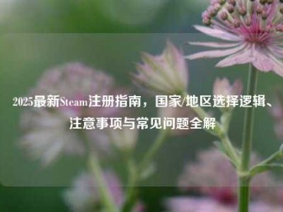 2025最新Steam注册指南，国家/地区选择逻辑、注意事项与常见问题全解