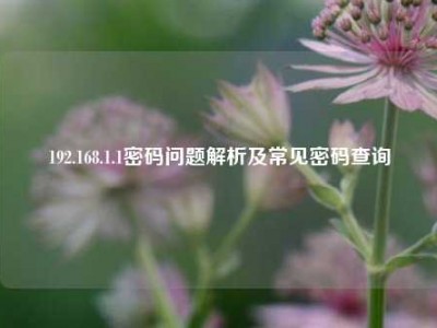 192.168.1.1密码问题解析及常见密码查询