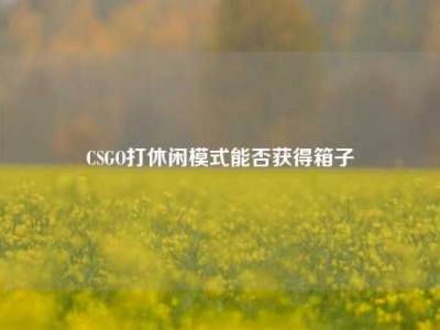 CSGO打休闲模式能否获得箱子